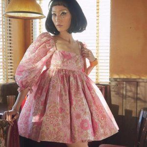 NWT 3X Selkie Organdy Puff Dress in Wallflower